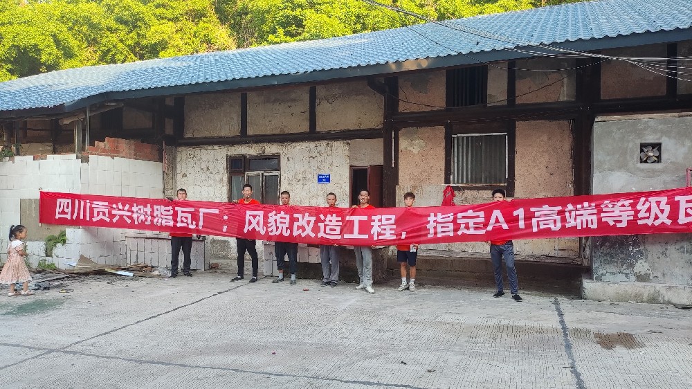 自貢市貢井區金魚村風貌改造